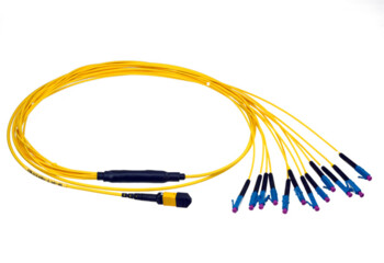 MTP Breakout Cable