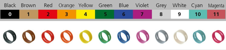 XXR 1 bis 11 - 202601 DE - Kopie